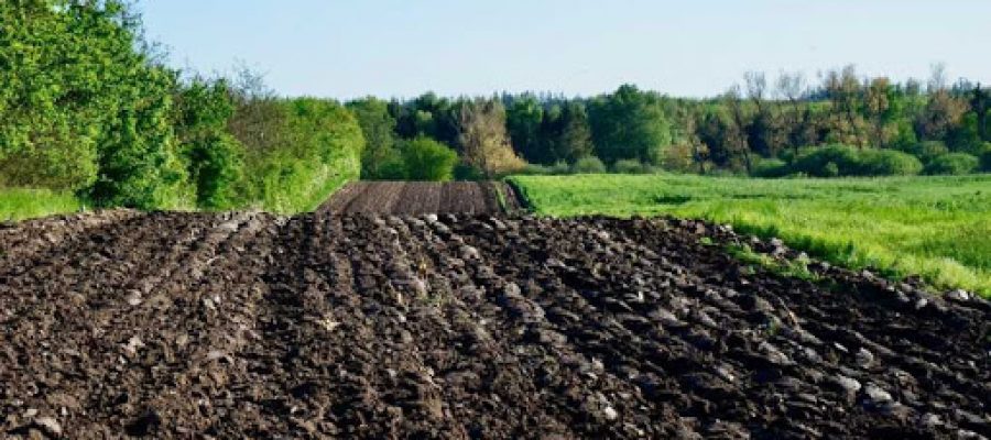 Скасування безоплатної приватизації землі є дієвим запобіжником корупційних схем у галузі земельних відносин – аналітичний огляд НАЗК