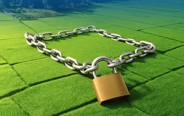 c5c5981c53b212a549b6331d46b6733c4cada34648d8b79b644361f27c0d6954-900x400